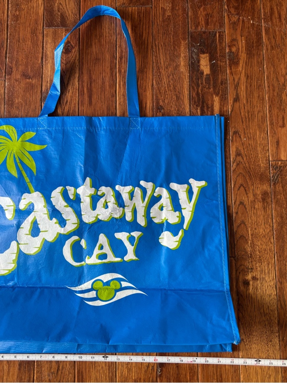 Disney Cruise Castaway Cay Blue Tote Bag XL Extra Large 23 x 19